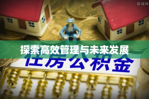 乌日探索高效管理与未来发展