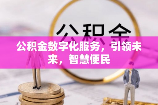 乌日公积金数字化服务，引领未来，智慧便民