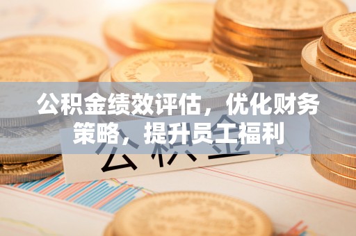 乌日公积金绩效评估，优化财务策略，提升员工福利