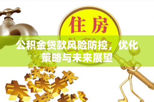 乌日公积金贷款风险防控，优化策略与未来展望