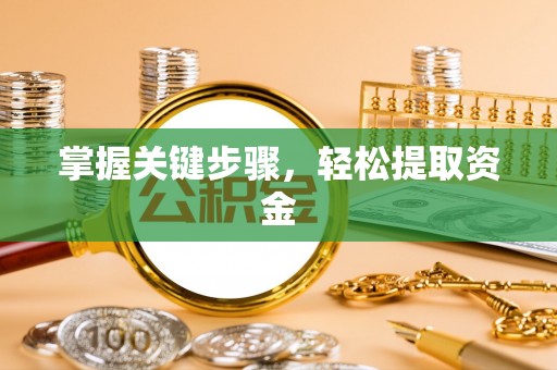 乌日掌握关键步骤，轻松提取资金