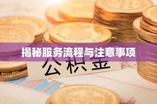 乌日揭秘服务流程与注意事项