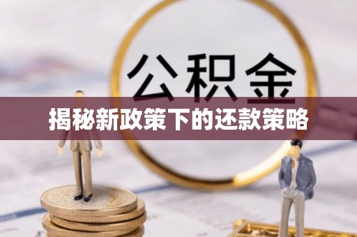 乌日揭秘新政策下的还款策略