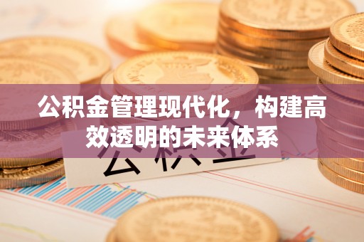 乌日公积金管理现代化，构建高效透明的未来体系