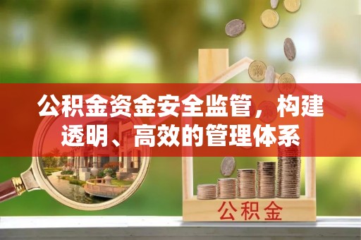 乌日公积金资金安全监管，构建透明、高效的管理体系