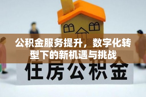 乌日公积金服务提升，数字化转型下的新机遇与挑战