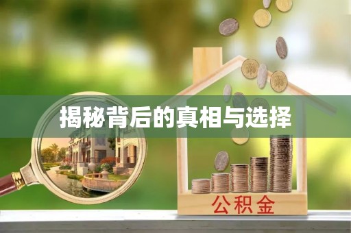 乌日揭秘背后的真相与选择