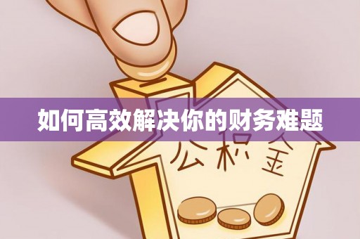 乌日如何高效解决你的财务难题