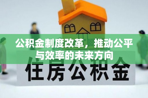 乌日公积金制度改革，推动公平与效率的未来方向