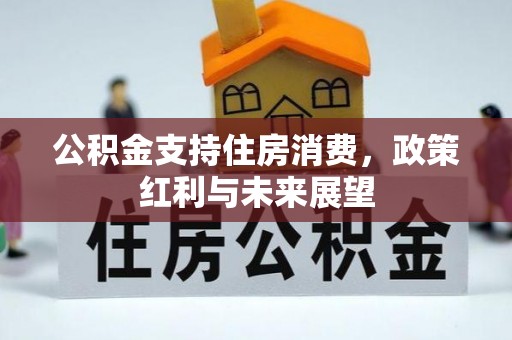 乌日公积金支持住房消费，政策红利与未来展望