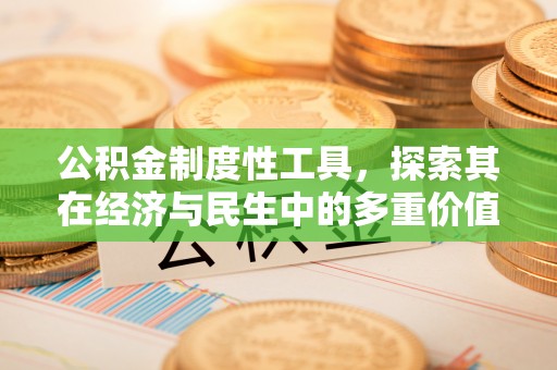 乌日公积金制度性工具，探索其在经济与民生中的多重价值