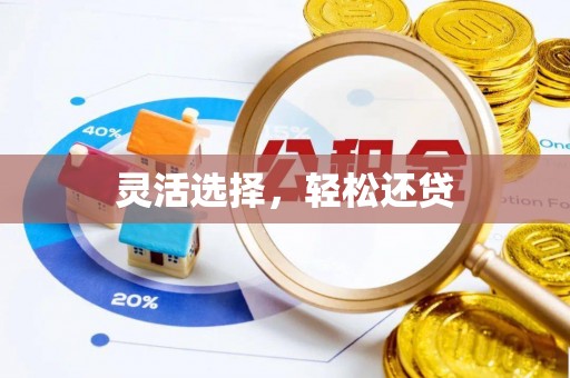 乌日灵活选择，轻松还贷