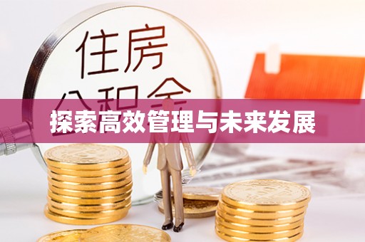 乌日探索高效管理与未来发展