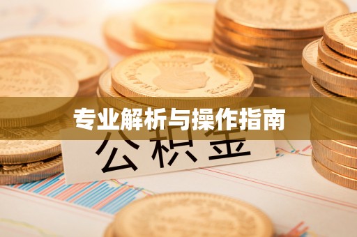 乌日专业解析与操作指南
