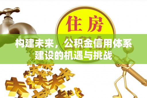 乌日构建未来，公积金信用体系建设的机遇与挑战