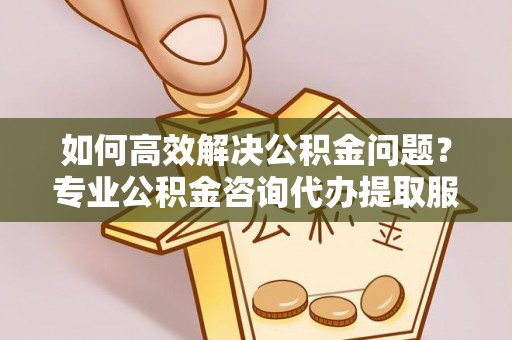 乌日如何高效解决公积金问题？专业公积金咨询代办提取服务来帮你