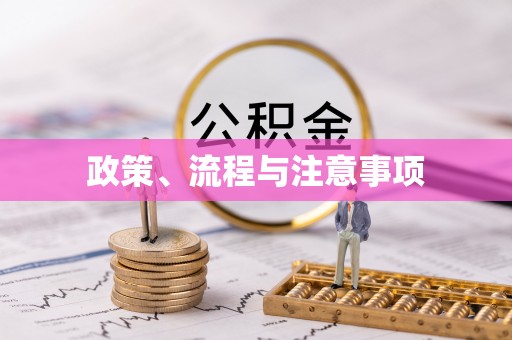 乌日政策、流程与注意事项