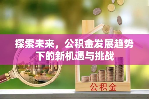 乌日探索未来，公积金发展趋势下的新机遇与挑战