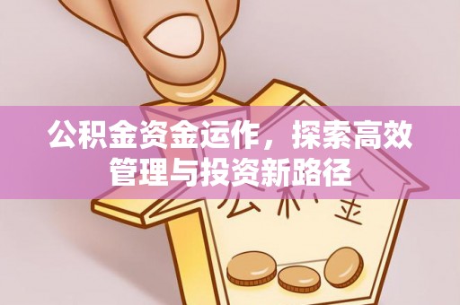 乌日公积金资金运作，探索高效管理与投资新路径
