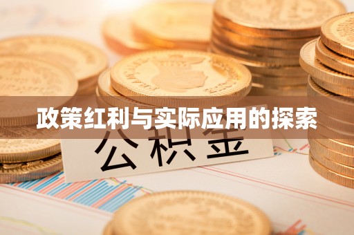 乌日政策红利与实际应用的探索