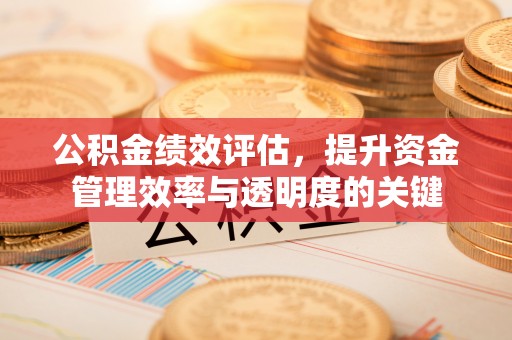 乌日公积金绩效评估，提升资金管理效率与透明度的关键