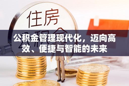 乌日公积金管理现代化，迈向高效、便捷与智能的未来