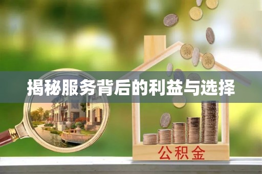 乌日揭秘服务背后的利益与选择