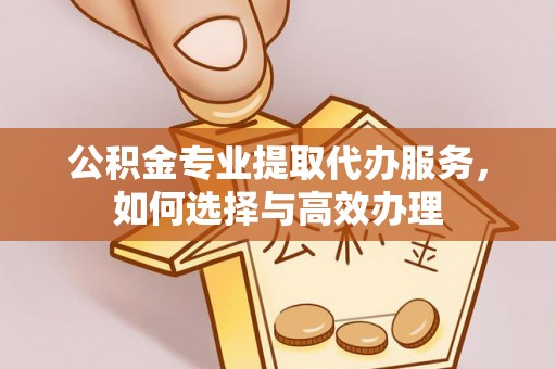 乌日公积金专业提取代办服务，如何选择与高效办理