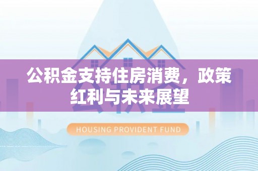 乌日公积金支持住房消费，政策红利与未来展望