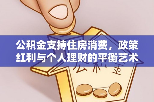 乌日公积金支持住房消费，政策红利与个人理财的平衡艺术
