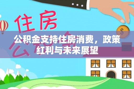 乌日公积金支持住房消费，政策红利与未来展望