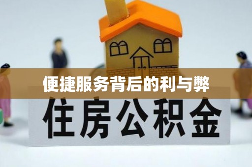 乌日便捷服务背后的利与弊