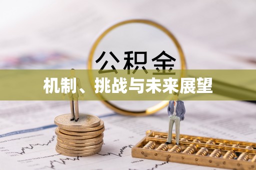 乌日机制、挑战与未来展望