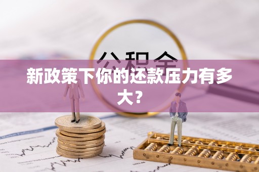 乌日新政策下你的还款压力有多大？