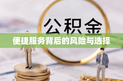 乌日便捷服务背后的风险与选择