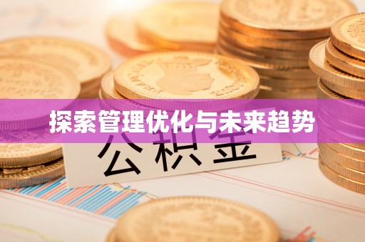 乌日探索管理优化与未来趋势
