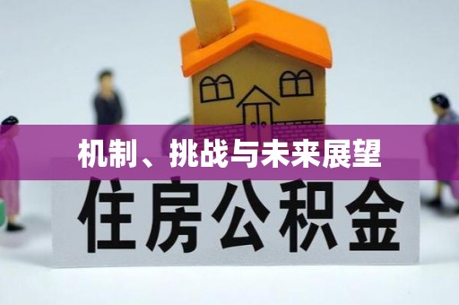 乌日机制、挑战与未来展望